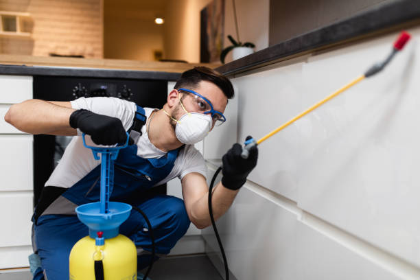 Best Insect Control  in Phoenix, OR