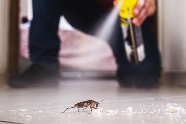 Best Pest Removal Services  in Phoenix, OR
