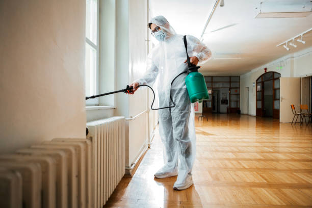 Best Termite Control Services  in Phoenix, OR